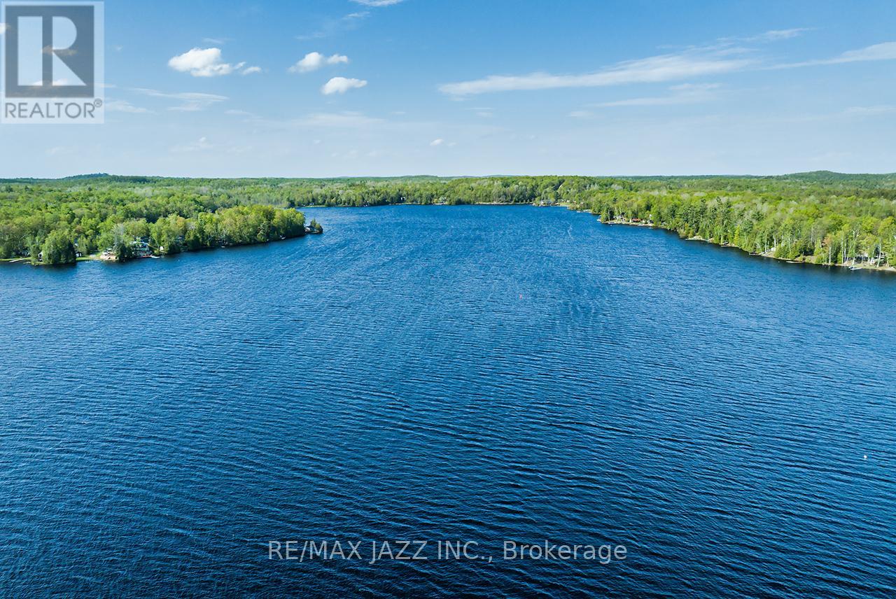 65 Fire Route 54c, Havelock-Belmont-Methuen, Ontario  K0L 1Z0 - Photo 10 - X13151814