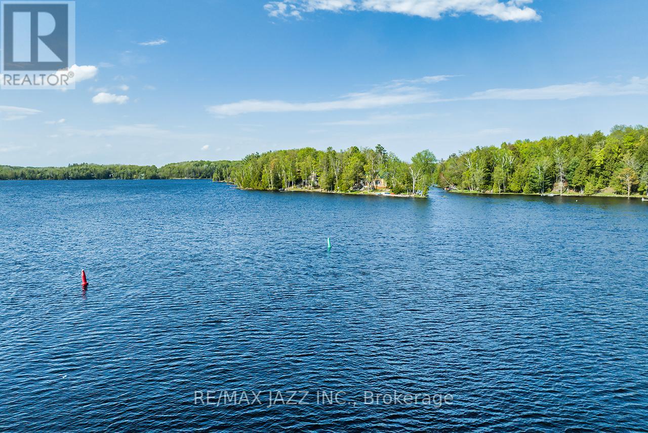65 Fire Route 54c, Havelock-Belmont-Methuen, Ontario  K0L 1Z0 - Photo 7 - X13151814