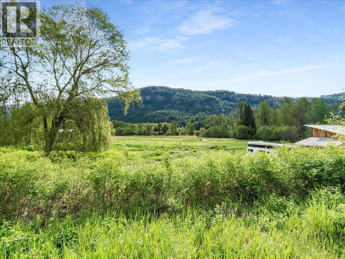 6288 Youngs Road, Winlaw, British Columbia  V0G 2J0 - Photo 3 - 10387294