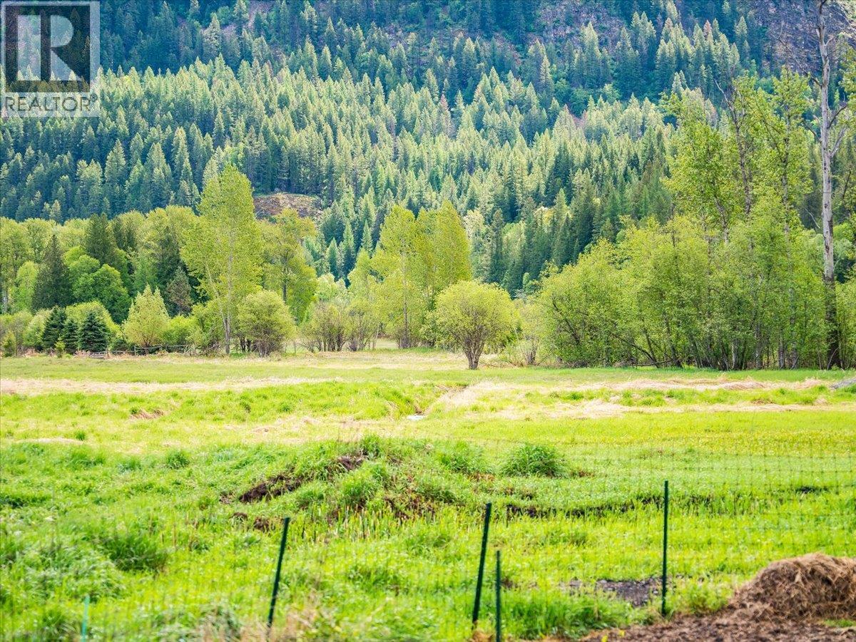 6288 Youngs Road, Winlaw, British Columbia  V0G 2J0 - Photo 43 - 10387294