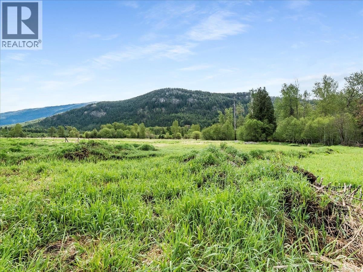 6288 Youngs Road, Winlaw, British Columbia  V0G 2J0 - Photo 26 - 10387294