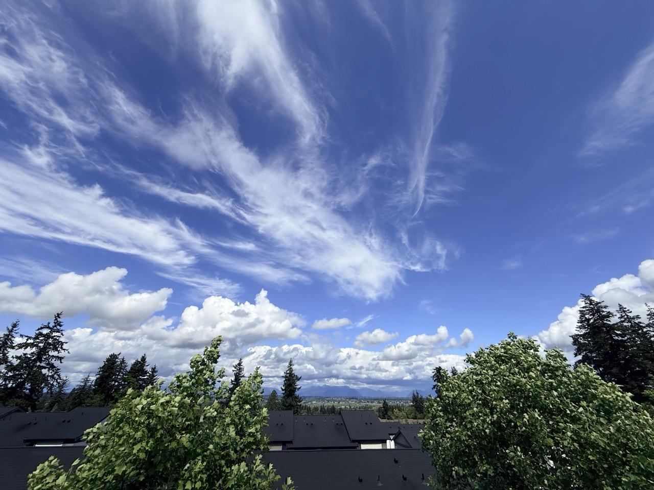 83 15833 26 Avenue, Surrey, British Columbia V3Z 2X5 - Photo 31 - R3123630