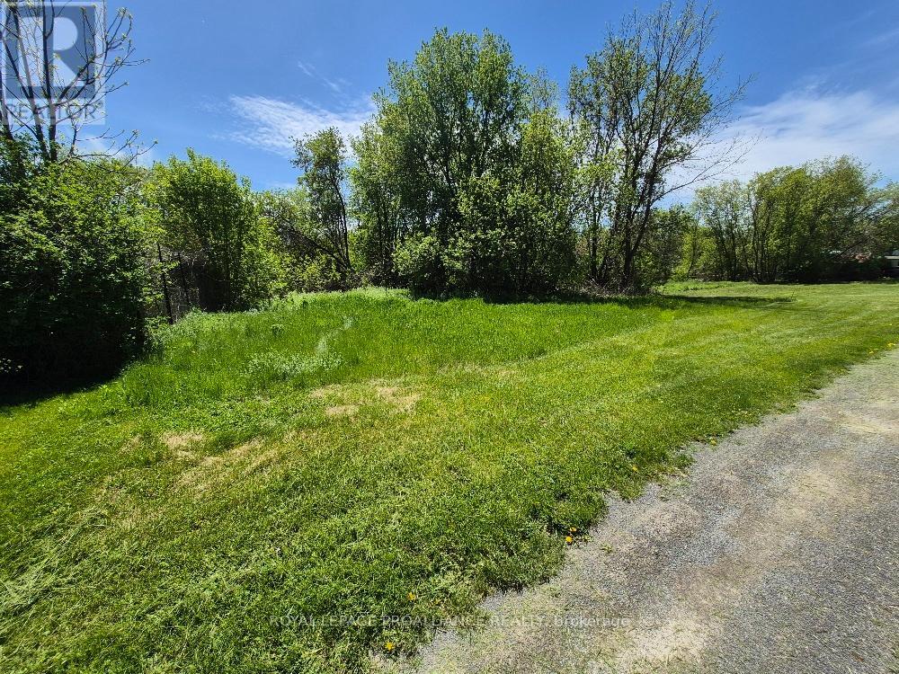 58 Walt Street, Brighton, Ontario  K0K 1H0 - Photo 5 - X12951058