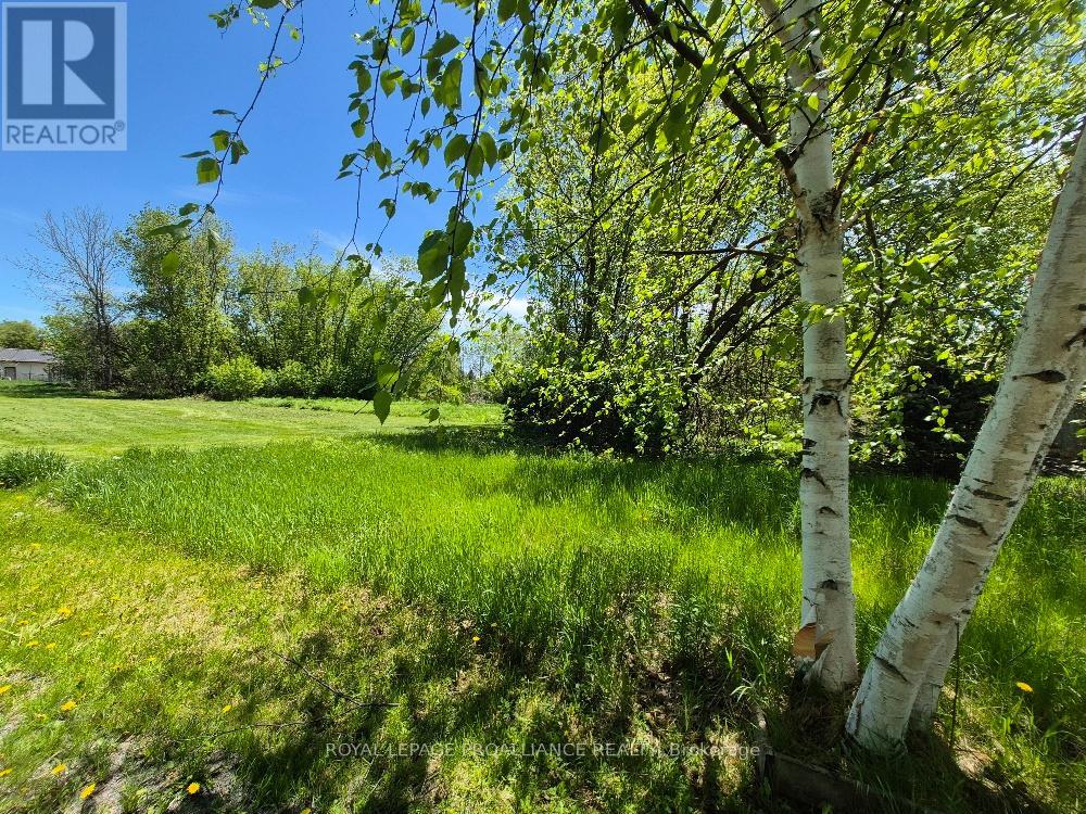 58 Walt Street, Brighton, Ontario  K0K 1H0 - Photo 6 - X12951058