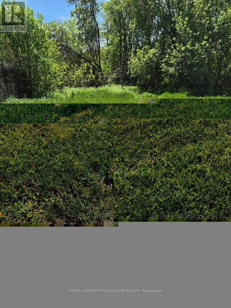 58 Walt Street, Brighton, Ontario  K0K 1H0 - Photo 3 - X12951058