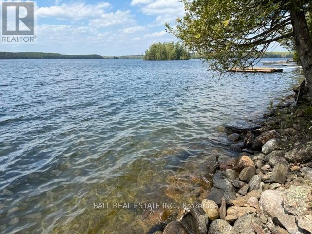 170 Couchs Road, North Kawartha, Ontario  K0L 1A0 - Photo 4 - X12908516