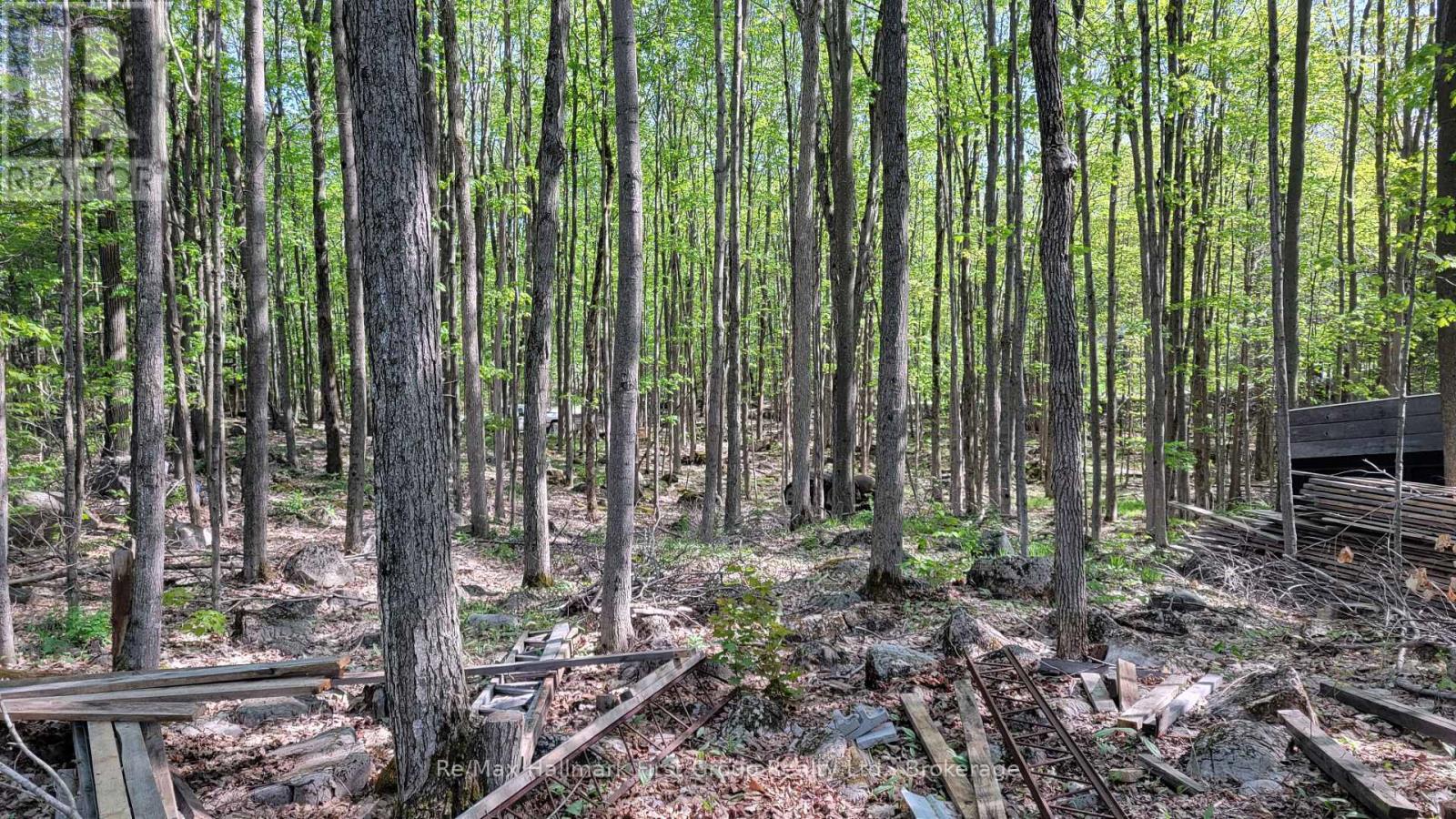 LOT 15 JAMES STREET, Tweed, Ontario