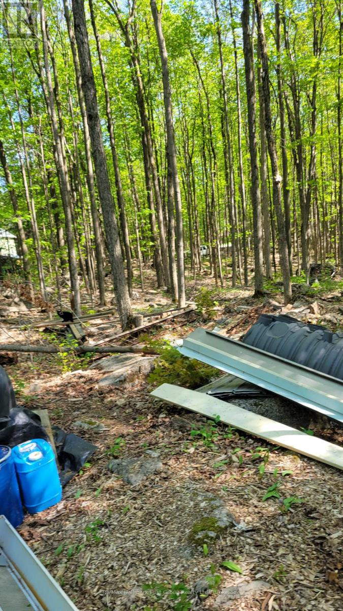 Lot 15 James Street, Tweed, Ontario  K0K 2L0 - Photo 4 - X13152956