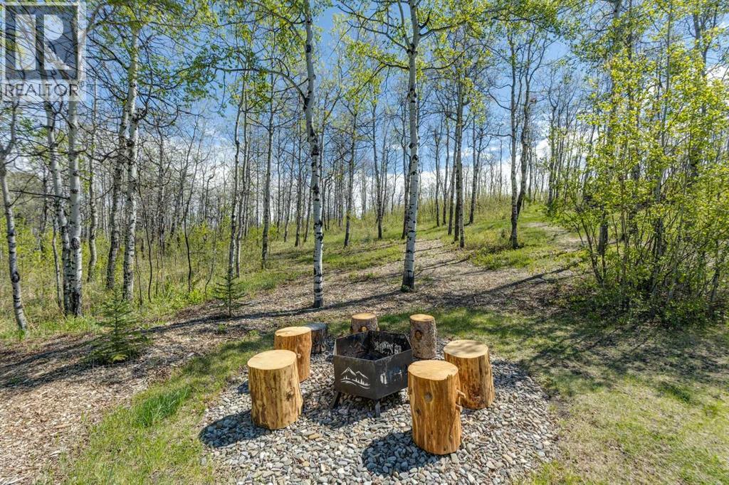 242026 White Post Lane W, Rural Foothills County, Alberta  T1S 3K3 - Photo 13 - A2312367