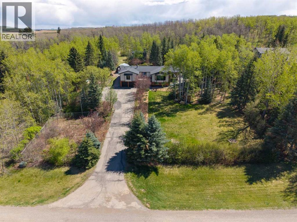 242026 White Post Lane W, Rural Foothills County, Alberta  T1S 3K3 - Photo 2 - A2312367