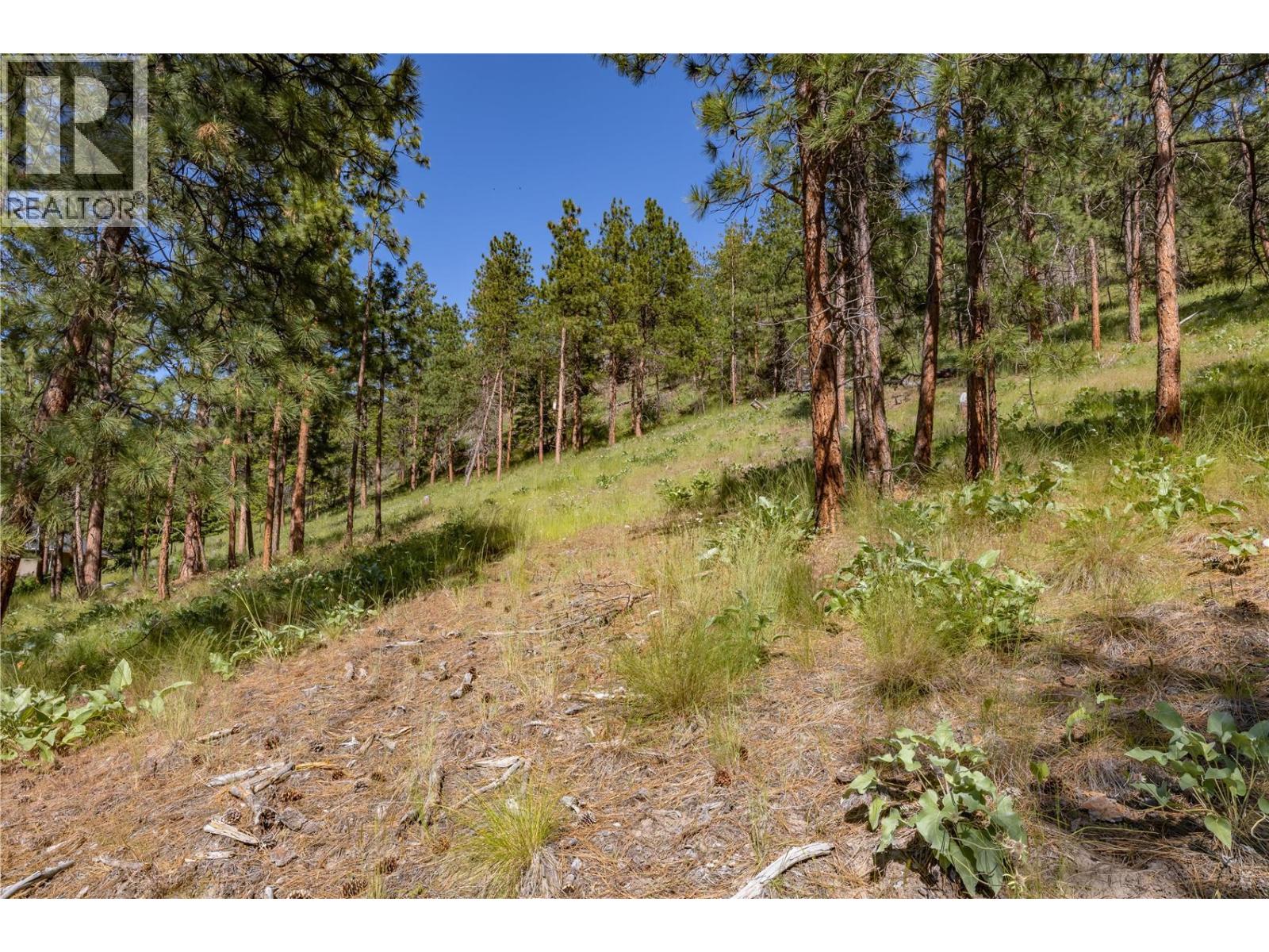 2455 Arthur Court, Kelowna, British Columbia  V1Y 7S2 - Photo 7 - 10388094
