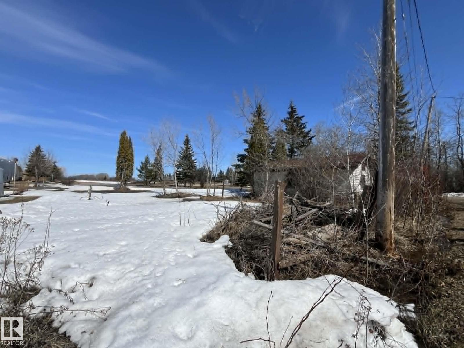 4901 50 Ave, Pibroch, Alberta  T0G 2L0 - Photo 8 - E4488925