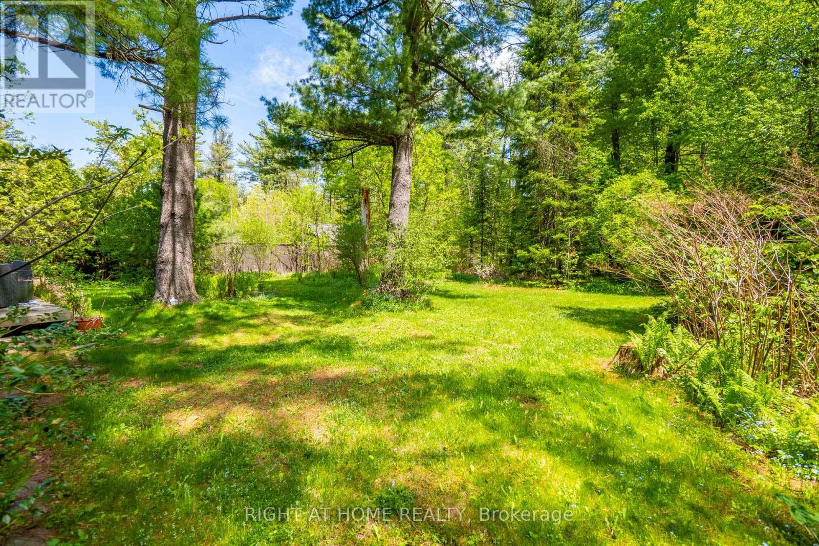 255 Shaver Road, Hamilton, Ontario  L0R 1R0 - Photo 4 - X13152992