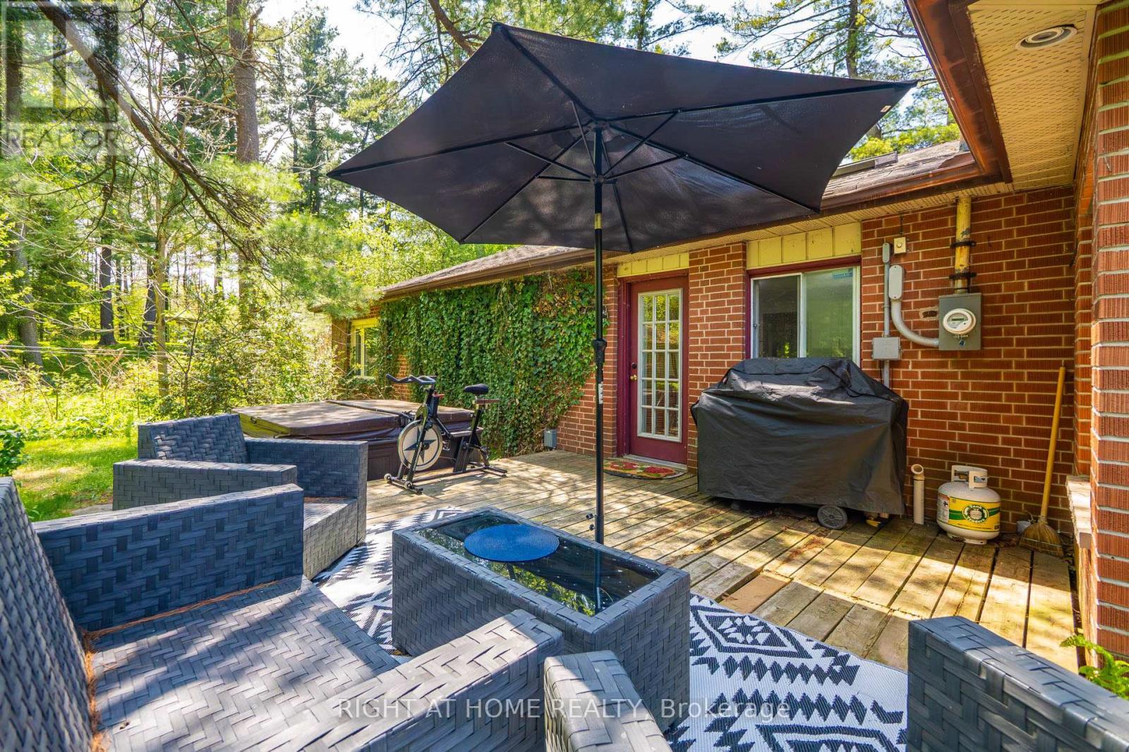 255 Shaver Road, Hamilton, Ontario  L0R 1R0 - Photo 9 - X13152992