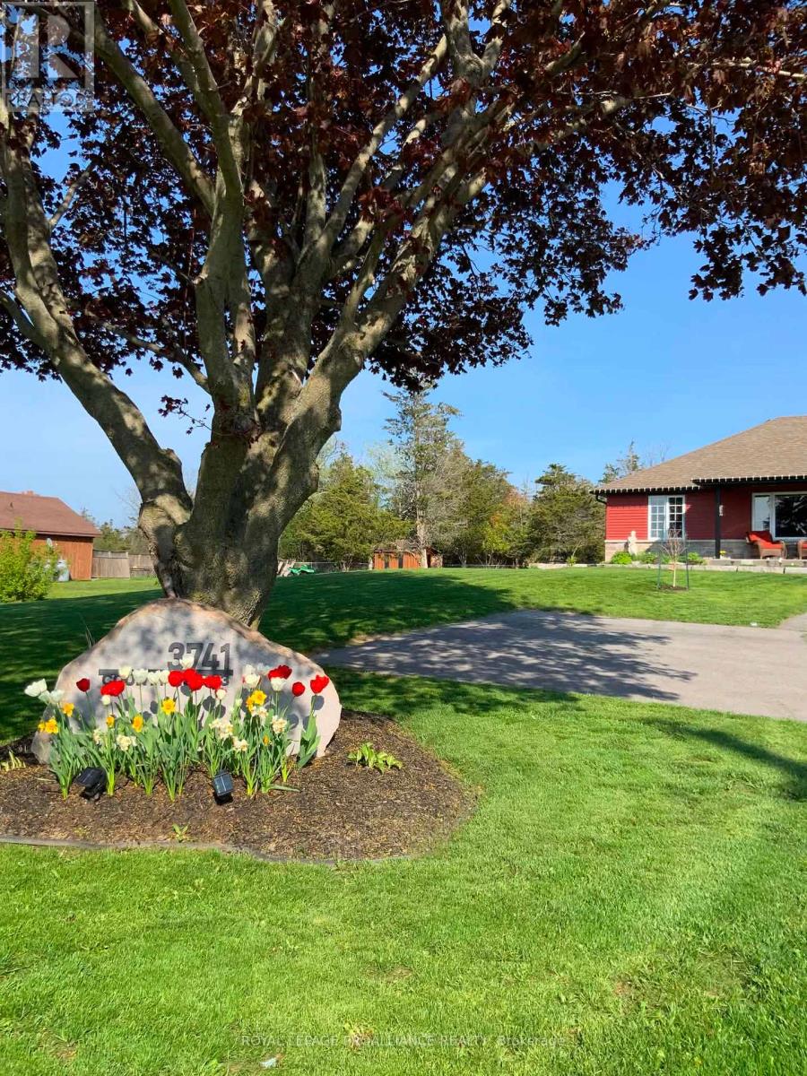 3741 County Road 3, Prince Edward County, Ontario  K0K 1L0 - Photo 7 - X12812606