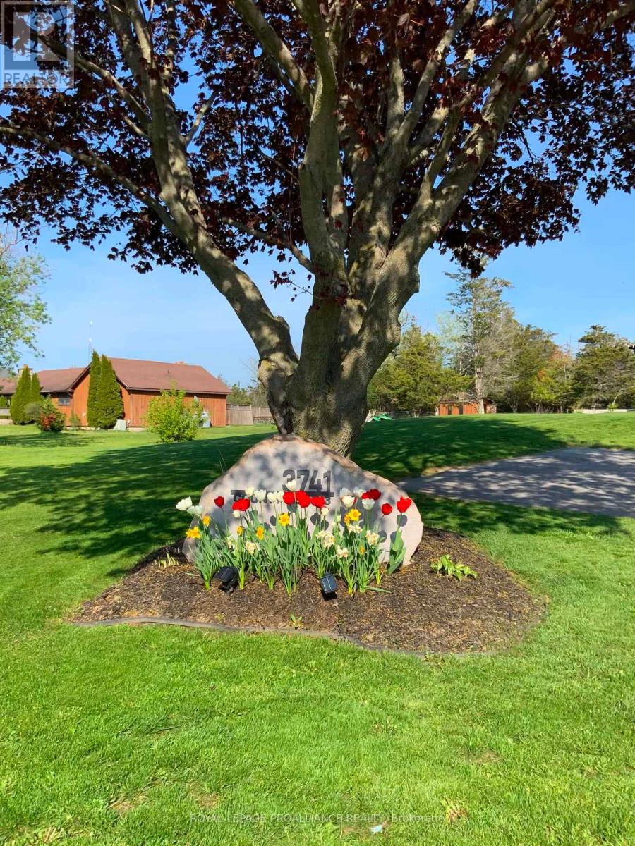3741 County Road 3, Prince Edward County, Ontario  K0K 1L0 - Photo 6 - X12812606