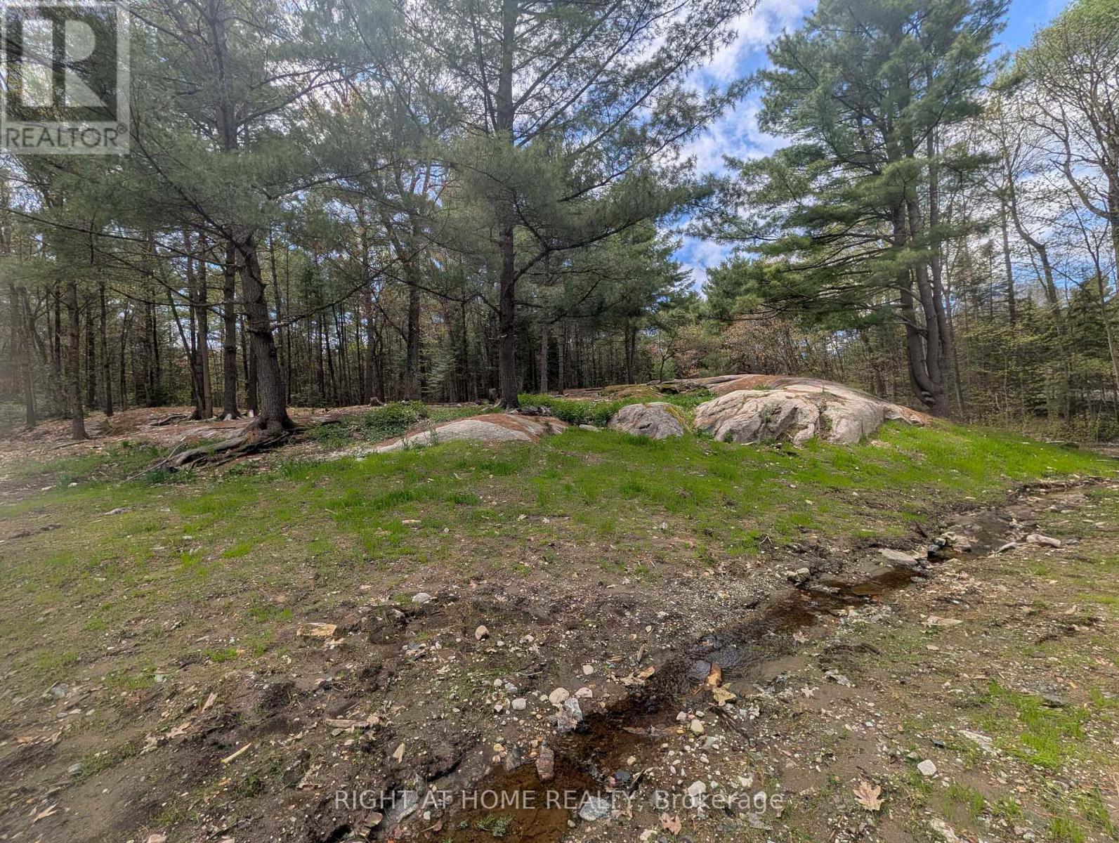 44 559 Highway, Carling, Ontario  P0G 1G0 - Photo 35 - X13153048