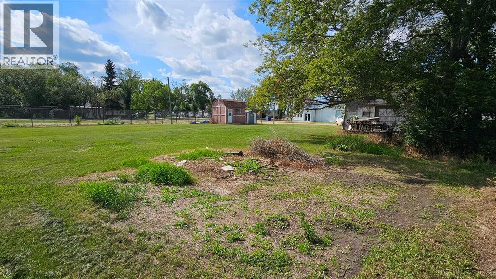109 1 Street E, Alliance, Alberta T0B 0A0 - Photo 8 - A2243926