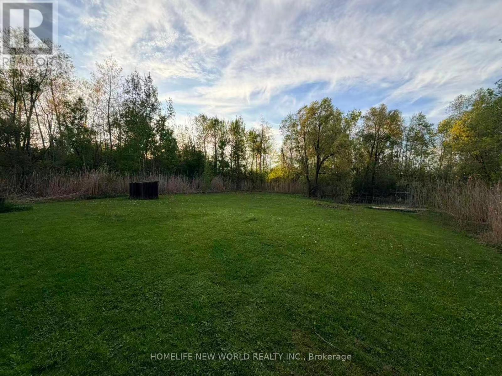 3370 Ravenshoe Road, Georgina, Ontario  L4P 3E9 - Photo 29 - N13153102