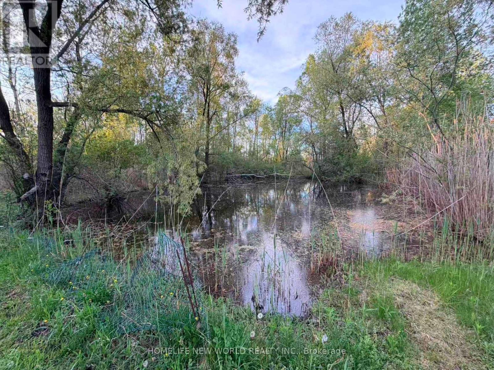 3370 Ravenshoe Road, Georgina, Ontario  L4P 3E9 - Photo 30 - N13153102