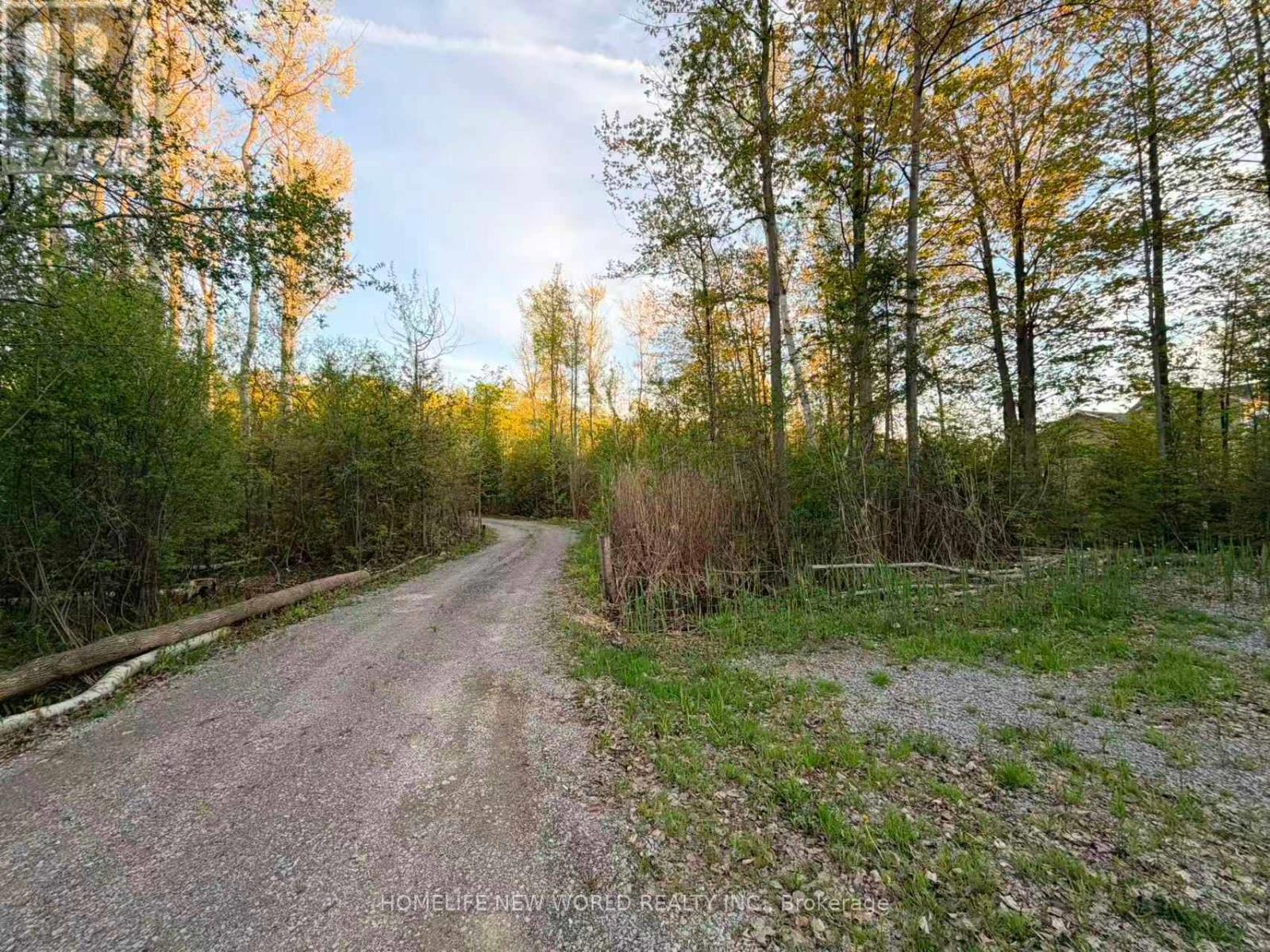 3370 Ravenshoe Road, Georgina, Ontario  L4P 3E9 - Photo 34 - N13153102
