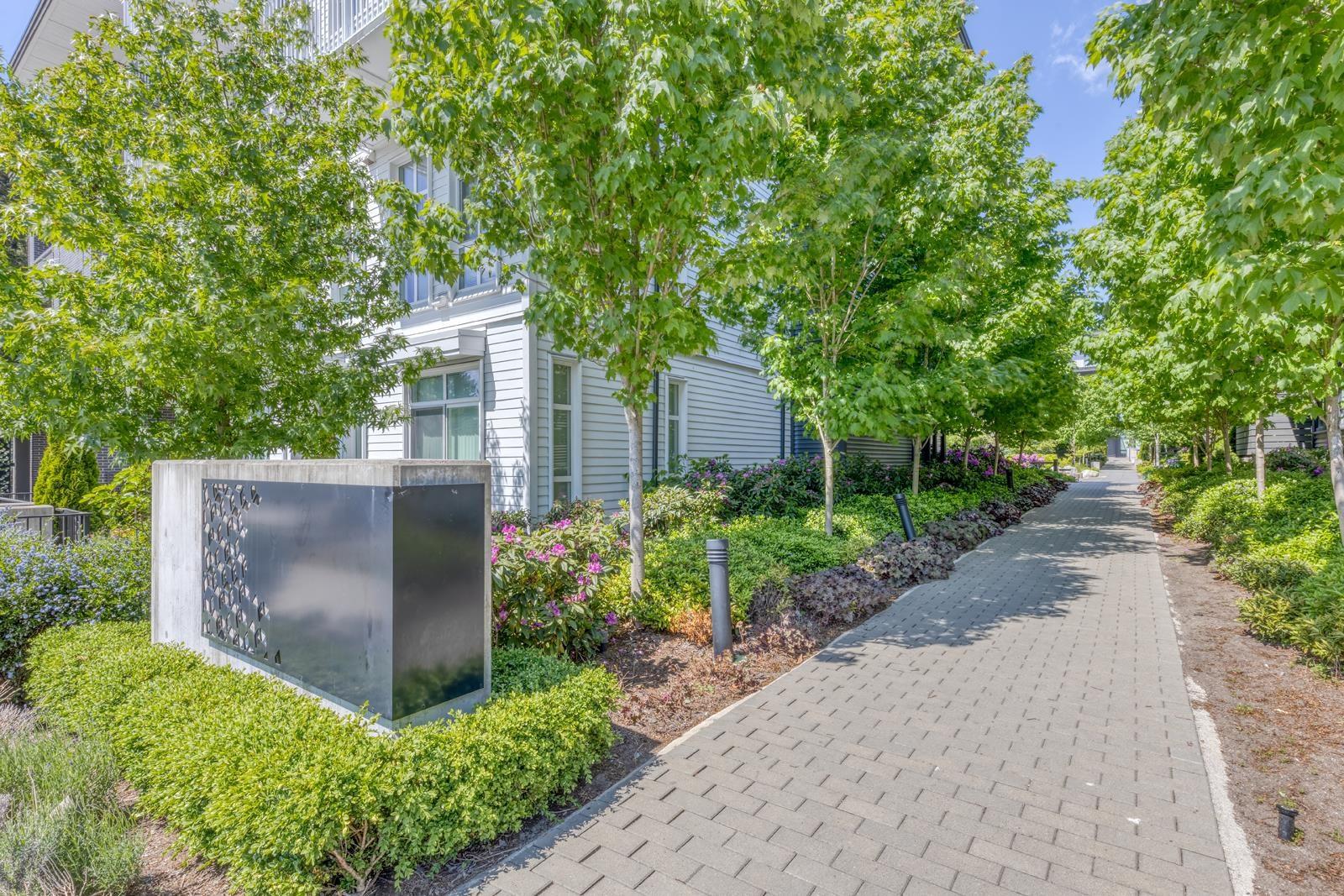 109 13929 105 Boulevard, Surrey, British Columbia  V3T 0R5 - Photo 21 - R3125908