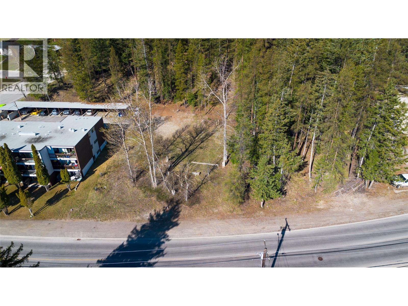205a Norton Avenue, Kimberley, British Columbia  V1A 1Y1 - Photo 6 - 10385312