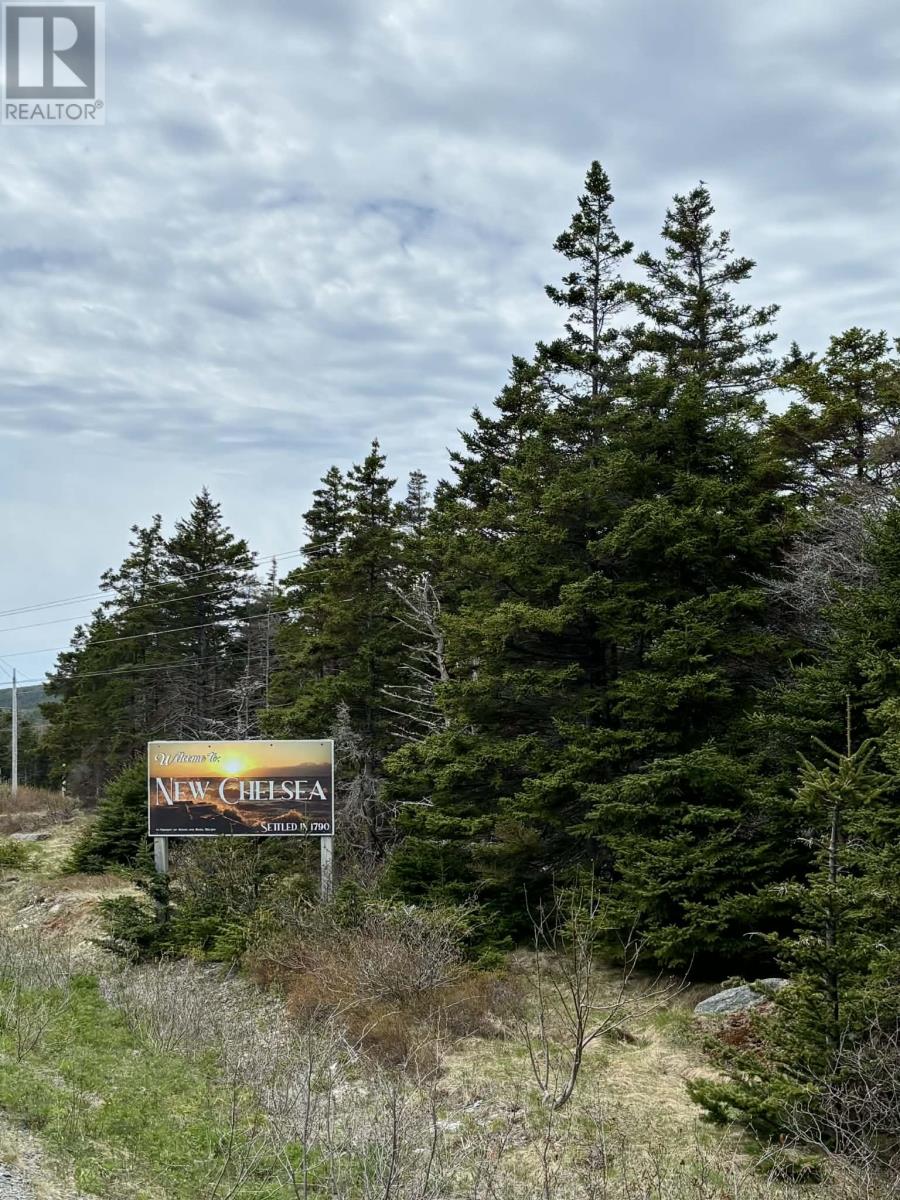 2 Old Highway Road, New Chelsea, Newfoundland & Labrador   - Photo 19 - 1296580