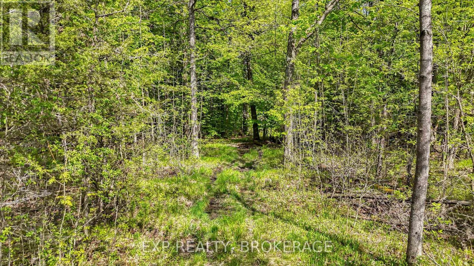 Pt Lt 10 Bush Road, Rideau Lakes, Ontario  K0G 1E0 - Photo 10 - X13153314