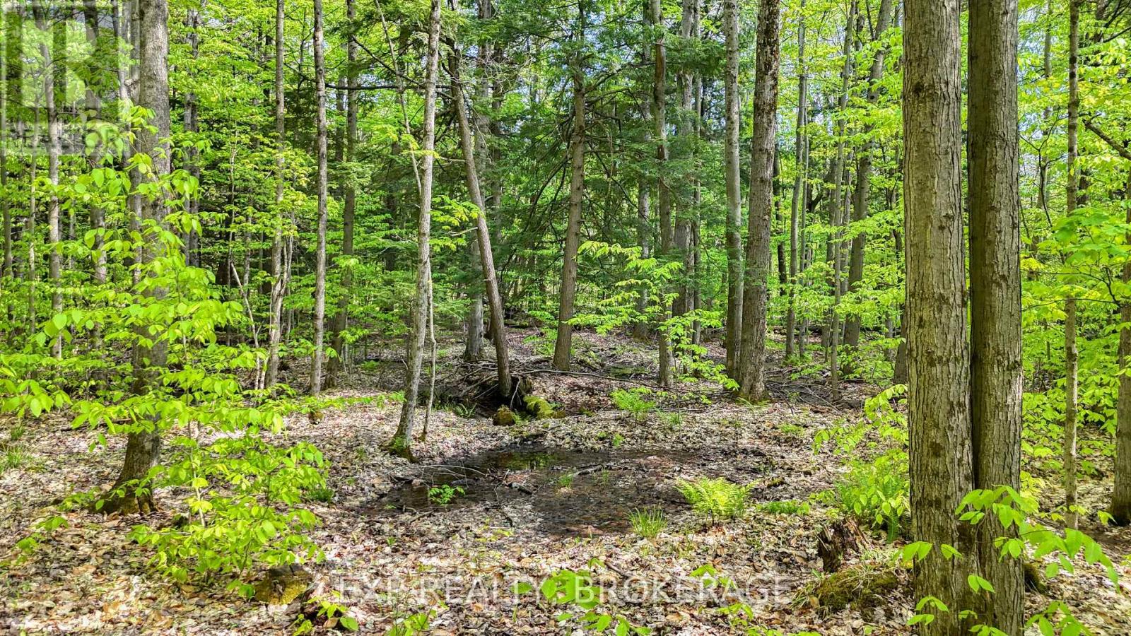 Pt Lt 10 Bush Road, Rideau Lakes, Ontario  K0G 1E0 - Photo 11 - X13153314