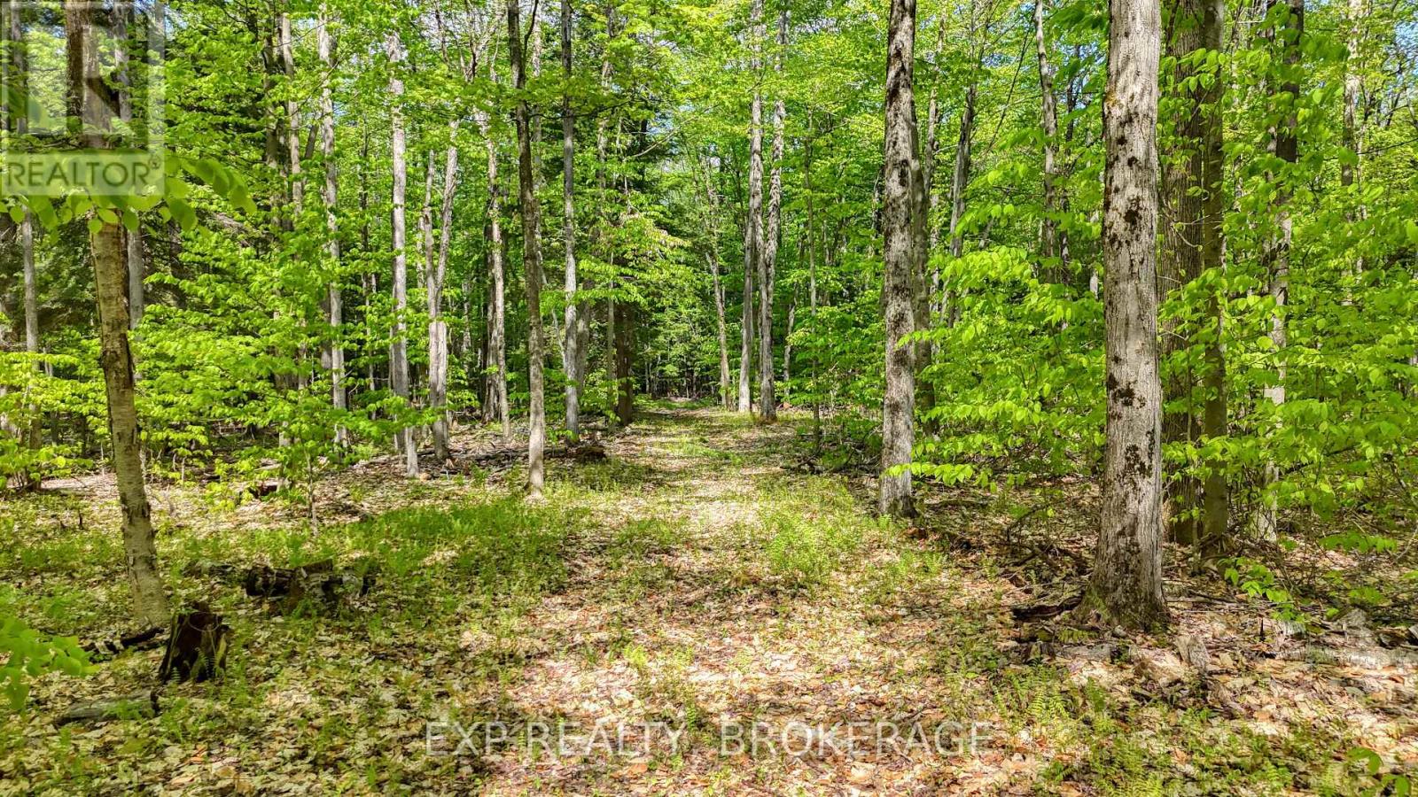Pt Lt 10 Bush Road, Rideau Lakes, Ontario  K0G 1E0 - Photo 12 - X13153314