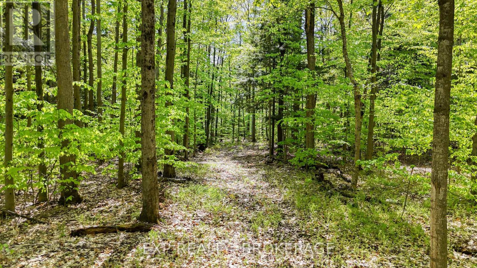 Pt Lt 10 Bush Road, Rideau Lakes, Ontario  K0G 1E0 - Photo 13 - X13153314