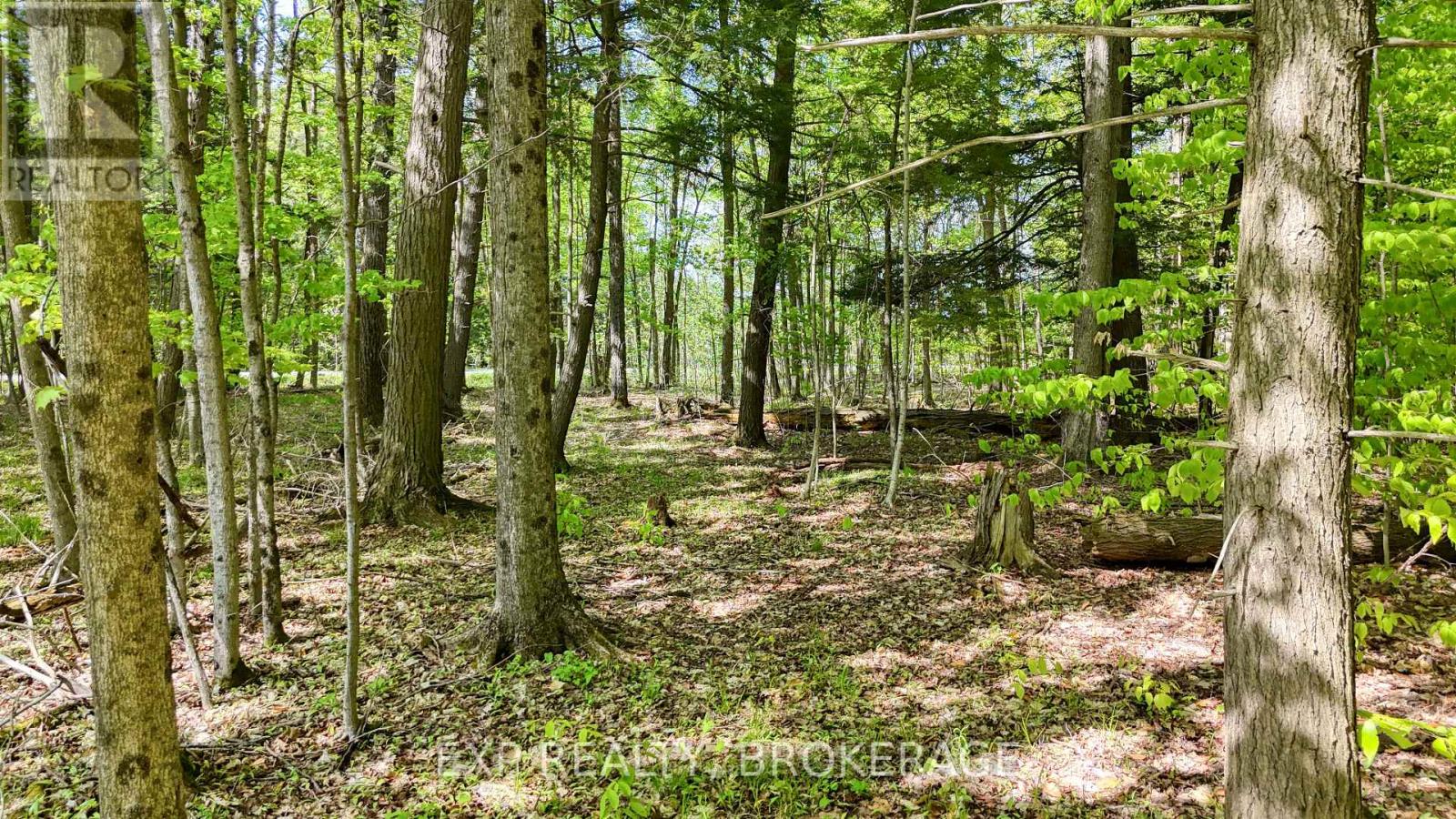 Pt Lt 10 Bush Road, Rideau Lakes, Ontario  K0G 1E0 - Photo 14 - X13153314