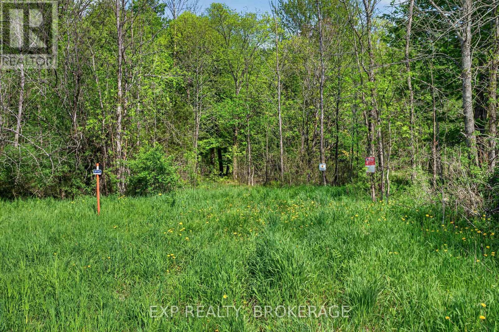 Pt Lt 10 Bush Road, Rideau Lakes, Ontario  K0G 1E0 - Photo 18 - X13153314