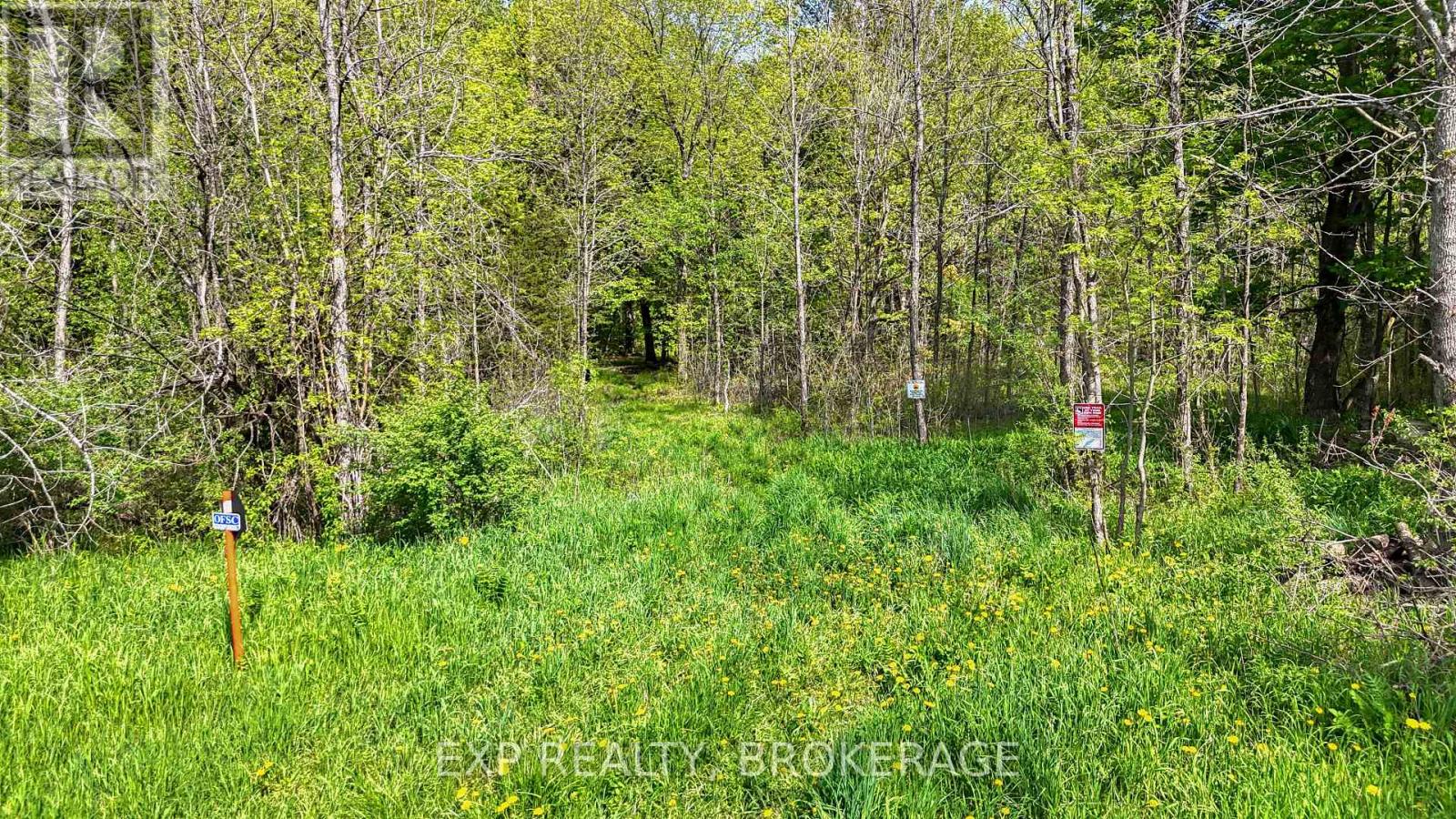 Pt Lt 10 Bush Road, Rideau Lakes, Ontario  K0G 1E0 - Photo 8 - X13153314