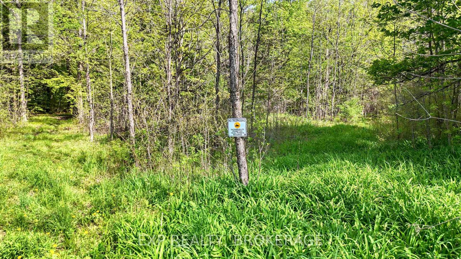 Pt Lt 10 Bush Road, Rideau Lakes, Ontario  K0G 1E0 - Photo 9 - X13153314