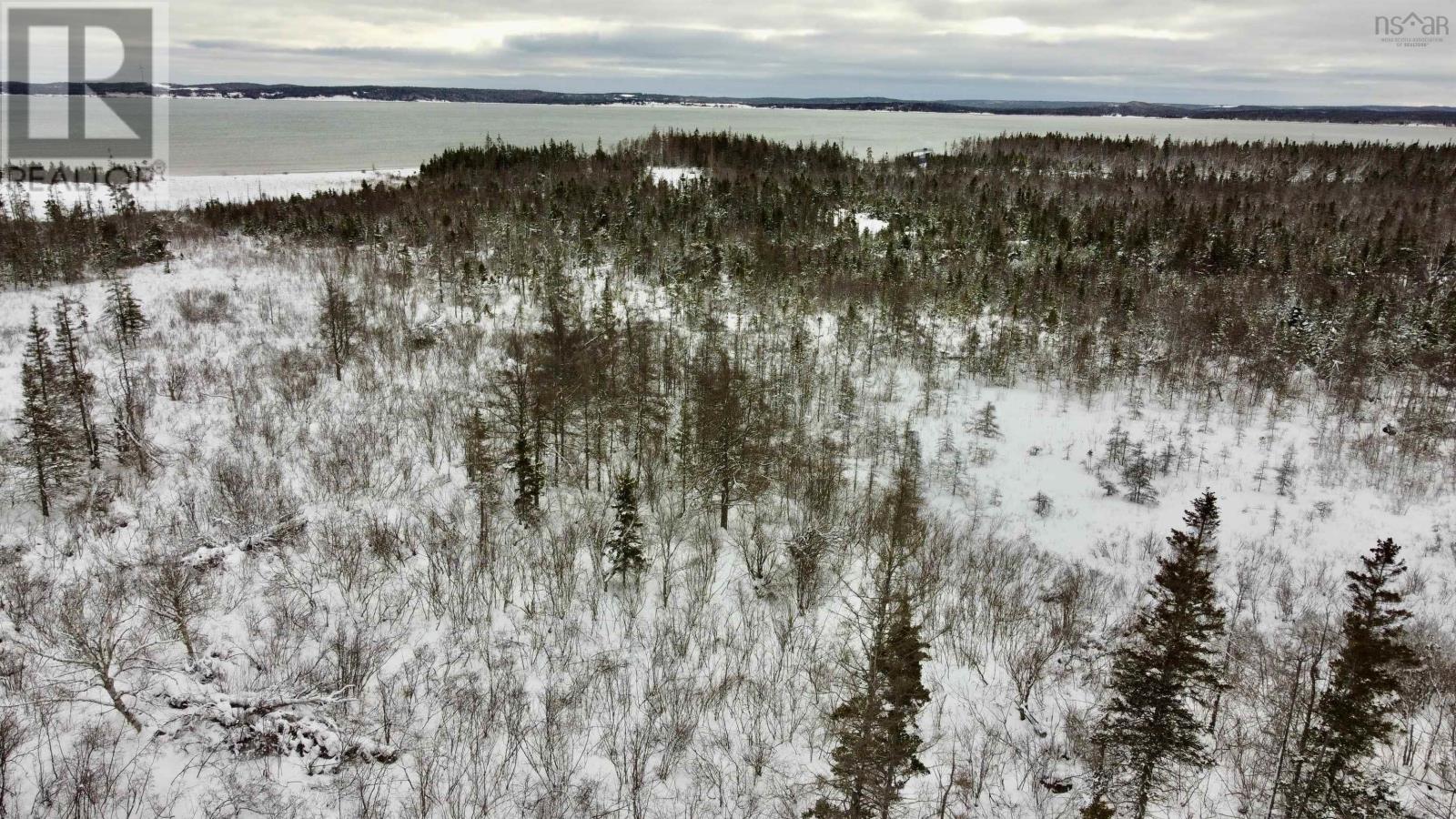 255 Highway, Round Island, Nova Scotia  B1B 1P2 - Photo 3 - 202602929