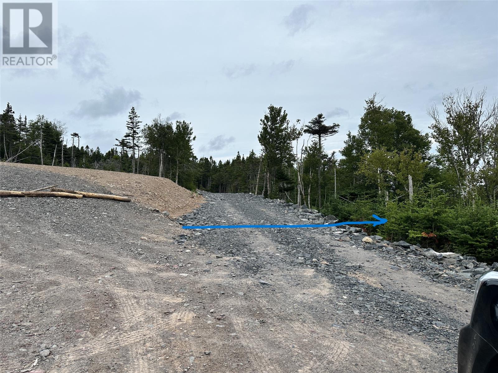 9-10 Pikes Road, Spread Eagle, Newfoundland & Labrador  A0B 2W0 - Photo 4 - 1297842