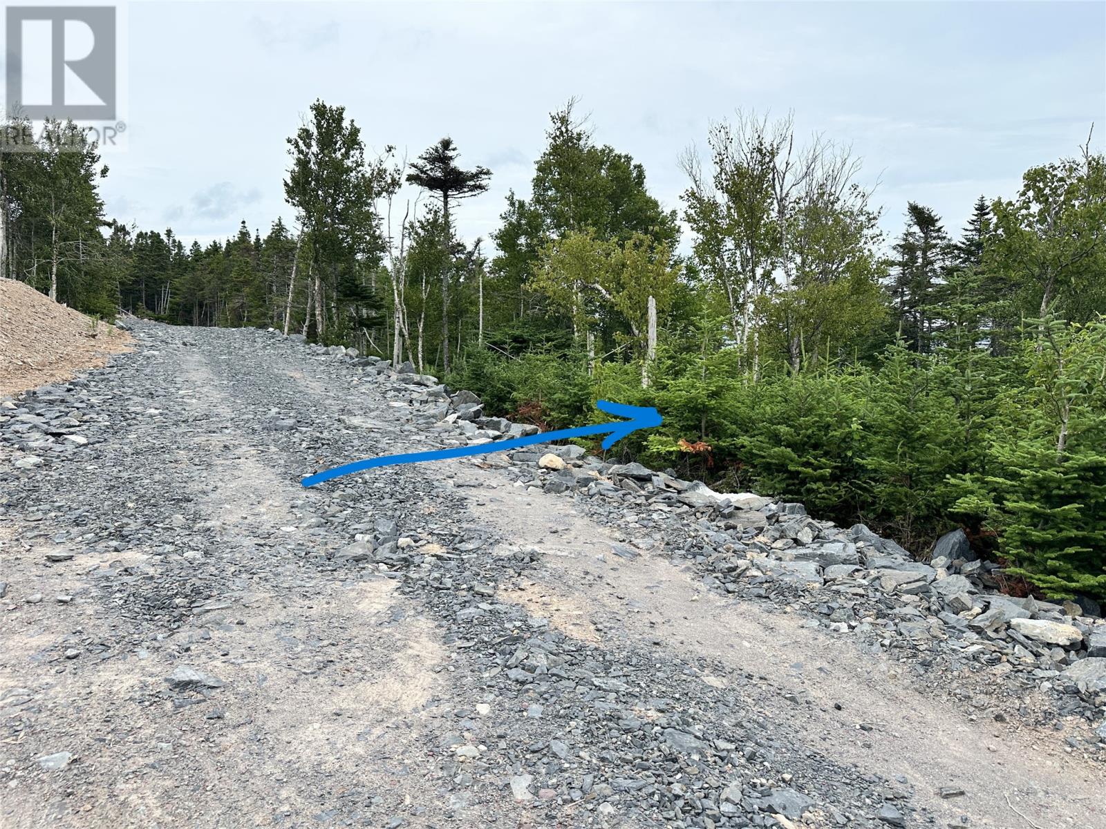 9-10 Pikes Road, Spread Eagle, Newfoundland & Labrador  A0B 2W0 - Photo 5 - 1297842