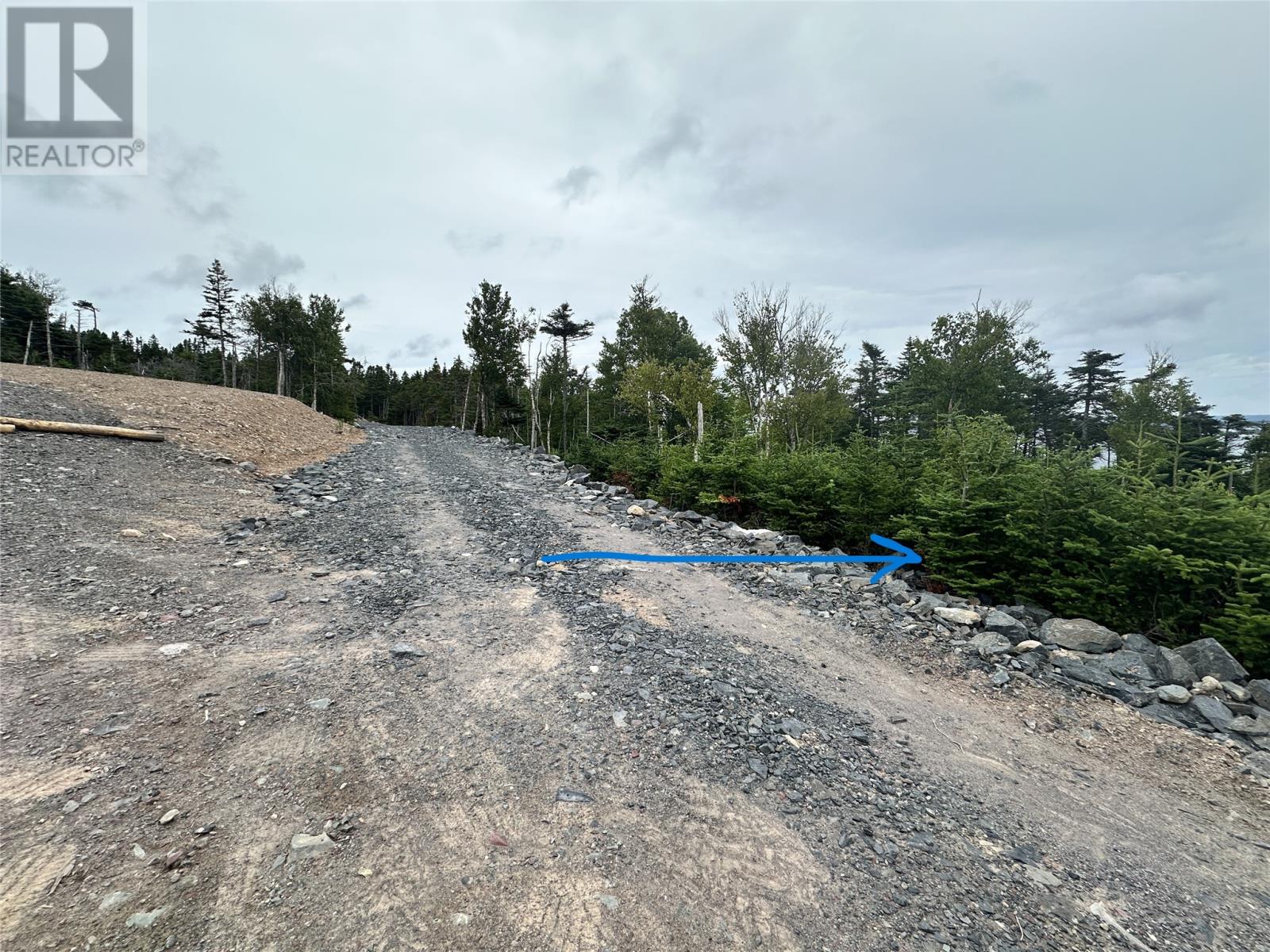 9-10 Pikes Road, Spread Eagle, Newfoundland & Labrador  A0B 2W0 - Photo 6 - 1297842