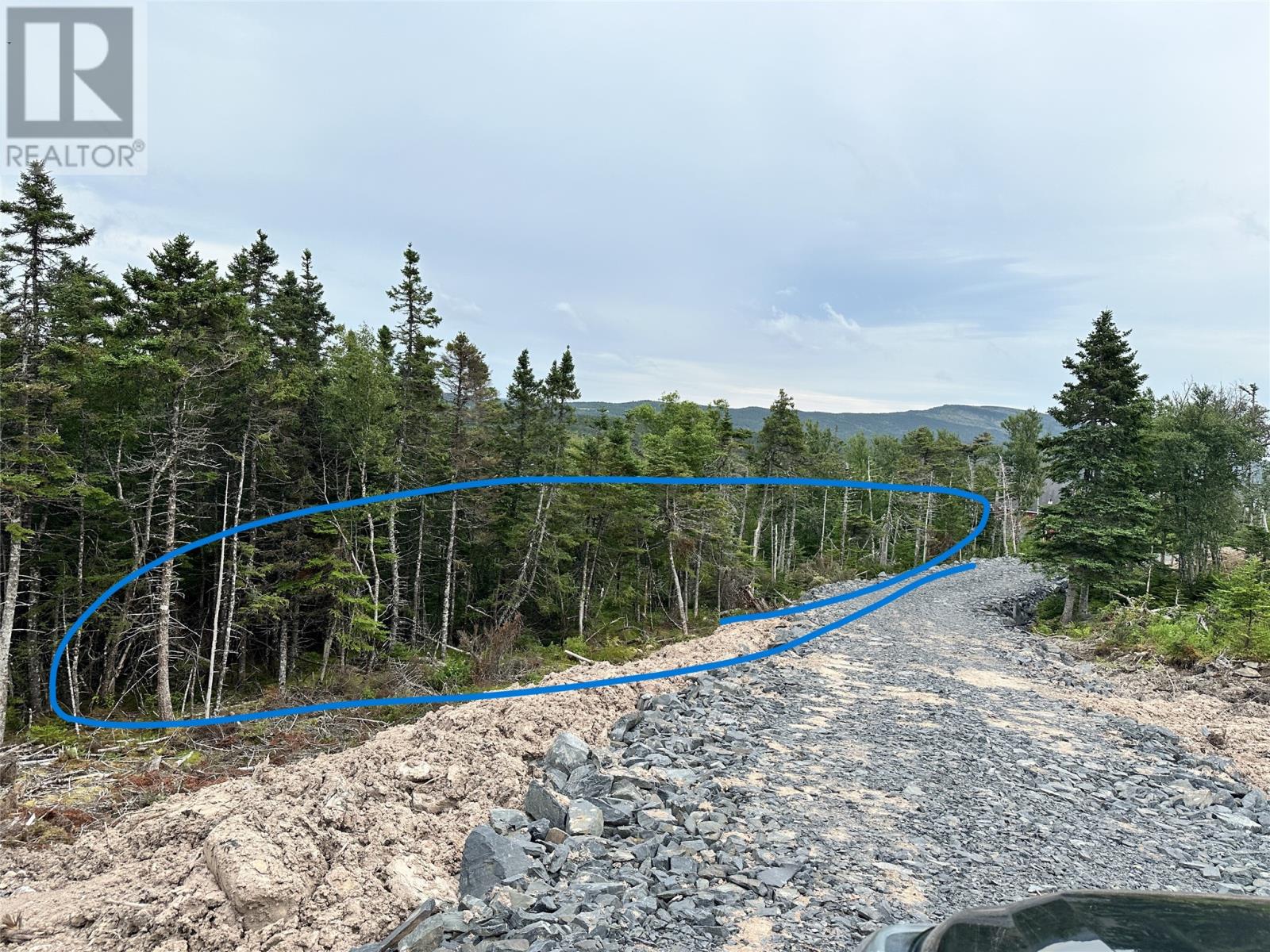 9-10 Pikes Road, Spread Eagle, Newfoundland & Labrador  A0B 2W0 - Photo 7 - 1297842