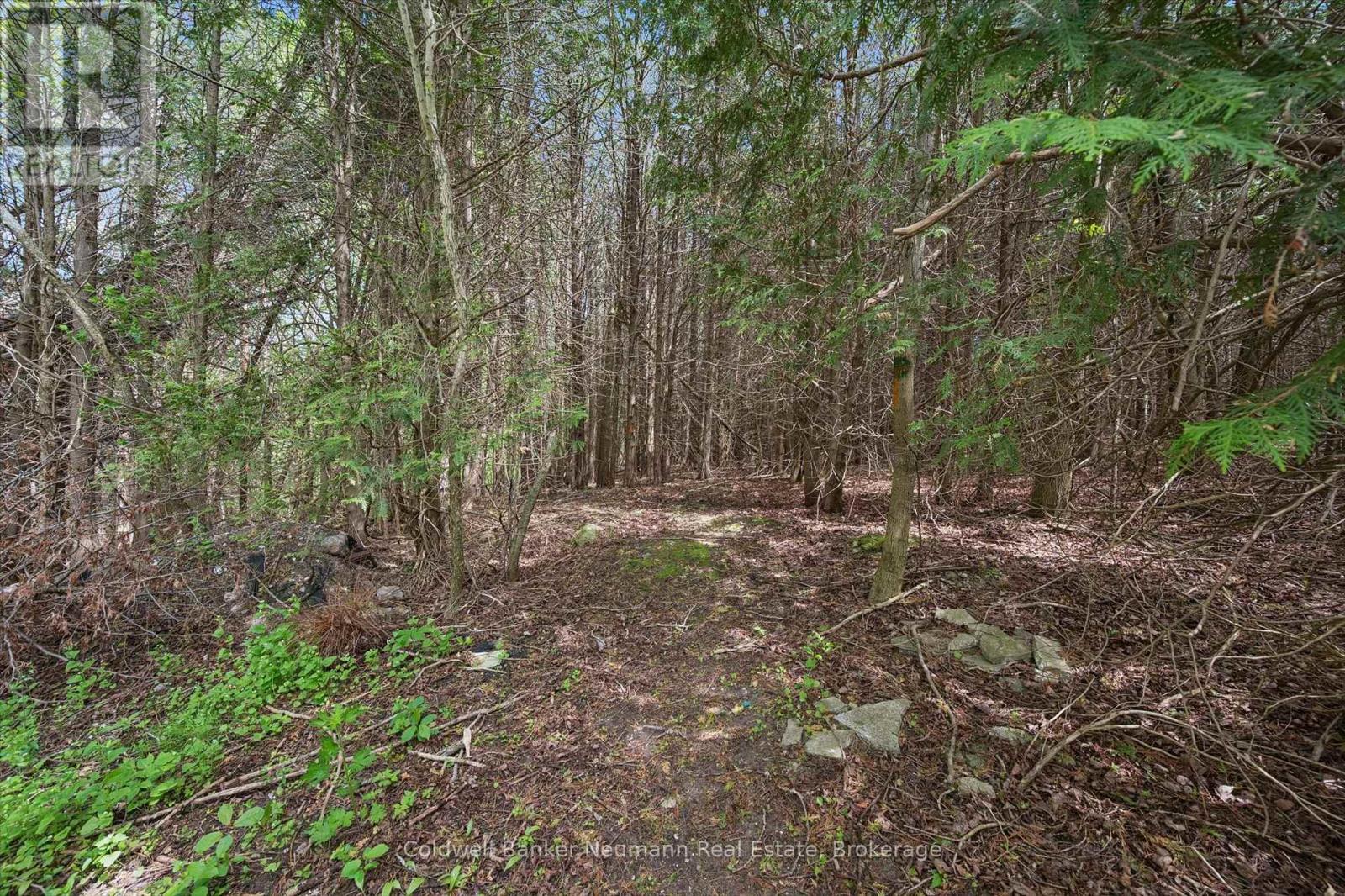 6592 Forestell Road, Puslinch, Ontario  N1H 6J3 - Photo 50 - X13153448