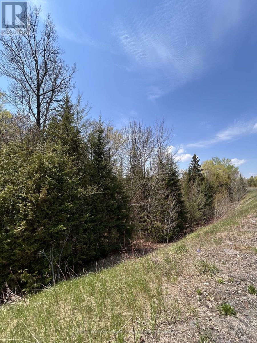 0 HIGHWAY 118, Faraday, Ontario