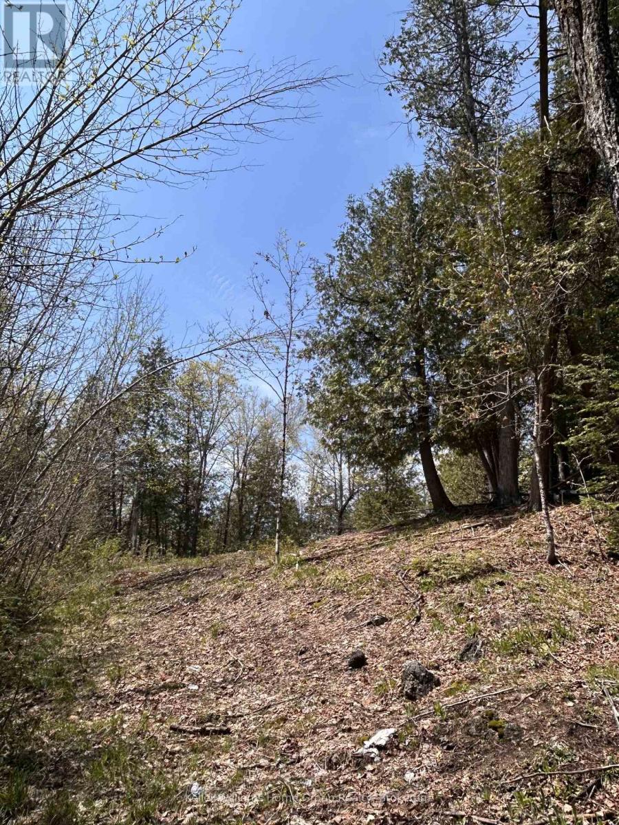 0 Highway 118, Faraday, Ontario  K0L 1C0 - Photo 11 - X13153456