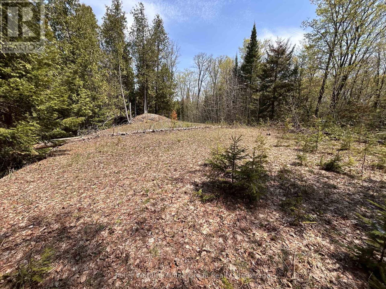 0 Highway 118, Faraday, Ontario  K0L 1C0 - Photo 17 - X13153456