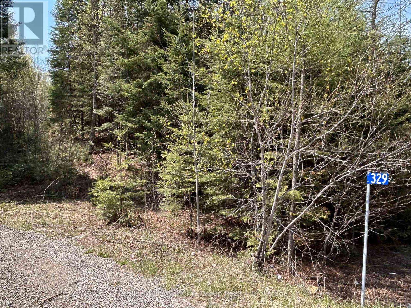 0 Highway 118, Faraday, Ontario  K0L 1C0 - Photo 4 - X13153456