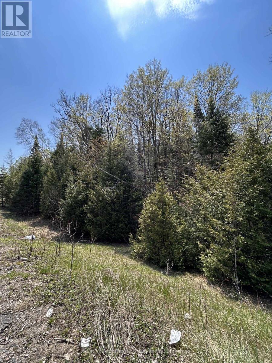 0 Highway 118, Faraday, Ontario  K0L 1C0 - Photo 7 - X13153456