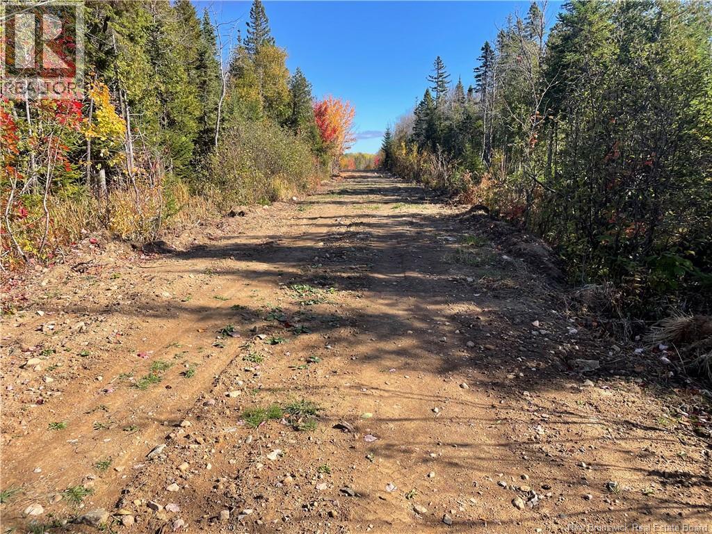 Lot Belledune Road, Belledune, New Brunswick  E8G 1Z5 - Photo 12 - NB138967