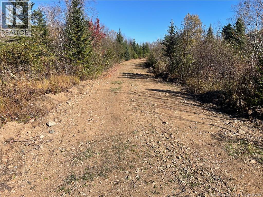 Lot Belledune Road, Belledune, New Brunswick  E8G 1Z5 - Photo 11 - NB138967