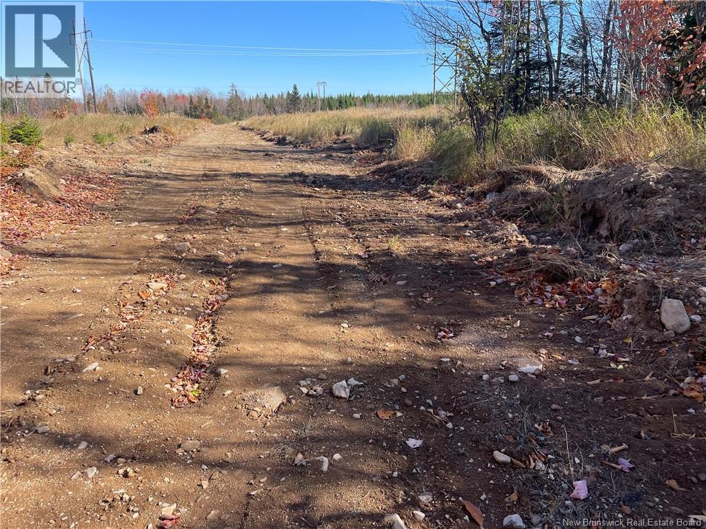 Lot Belledune Road, Belledune, New Brunswick  E8G 1Z5 - Photo 10 - NB138967